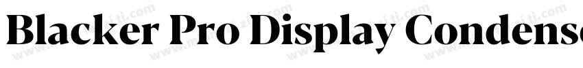 Blacker Pro Display Condensed Trial字体转换